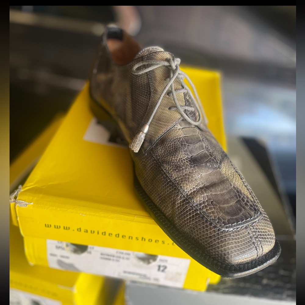 David Eden- mens shoe size 12